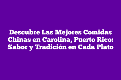 Descubre Las Mejores Comidas Chinas en Carolina, Puerto Rico: Sabor y Tradición en Cada Plato