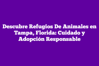 Descubre Refugios De Animales en Tampa, Florida: Cuidado y Adopción Responsable
