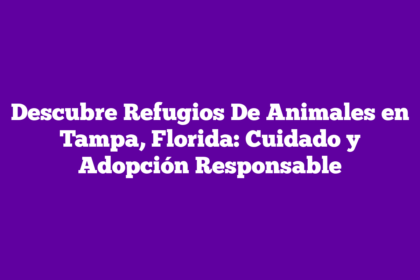 Descubre Refugios De Animales en Tampa, Florida: Cuidado y Adopción Responsable