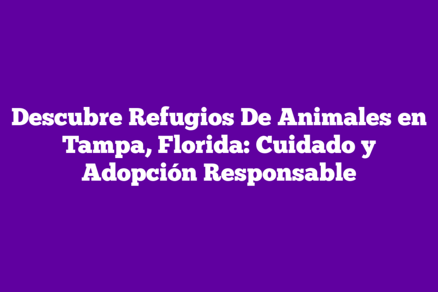 Descubre Refugios De Animales en Tampa, Florida: Cuidado y Adopción Responsable