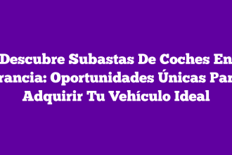 Descubre Subastas De Coches En Francia: Oportunidades Únicas Para Adquirir Tu Vehículo Ideal