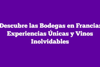 Descubre las Bodegas en Francia: Experiencias Únicas y Vinos Inolvidables