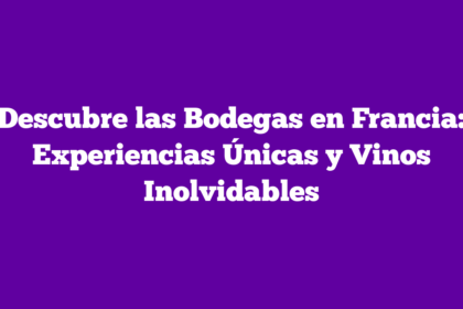 Descubre las Bodegas en Francia: Experiencias Únicas y Vinos Inolvidables