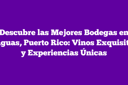 Descubre las Mejores Bodegas en Caguas, Puerto Rico: Vinos Exquisitos y Experiencias Únicas