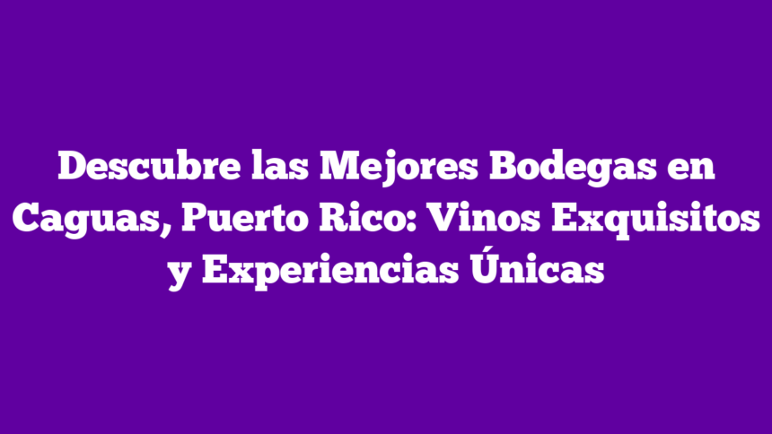 Descubre las Mejores Bodegas en Caguas, Puerto Rico: Vinos Exquisitos y Experiencias Únicas