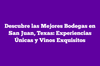 Descubre las Mejores Bodegas en San Juan, Texas: Experiencias Únicas y Vinos Exquisitos