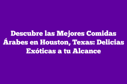 Descubre las Mejores Comidas Árabes en Houston, Texas: Delicias Exóticas a tu Alcance