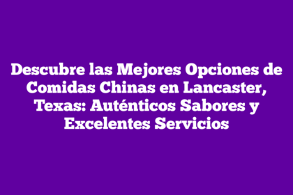 Descubre las Mejores Opciones de Comidas Chinas en Lancaster, Texas: Auténticos Sabores y Excelentes Servicios