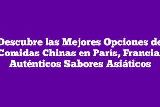 Descubre las Mejores Opciones de Comidas Chinas en París, Francia: Auténticos Sabores Asiáticos