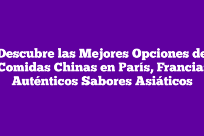Descubre las Mejores Opciones de Comidas Chinas en París, Francia: Auténticos Sabores Asiáticos