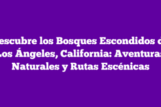 Descubre los Bosques Escondidos de Los Ángeles, California: Aventuras Naturales y Rutas Escénicas