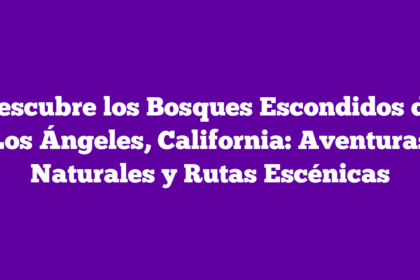 Descubre los Bosques Escondidos de Los Ángeles, California: Aventuras Naturales y Rutas Escénicas