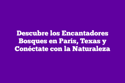 Descubre los Encantadores Bosques en París, Texas y Conéctate con la Naturaleza