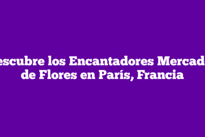 Descubre los Encantadores Mercados de Flores en París, Francia