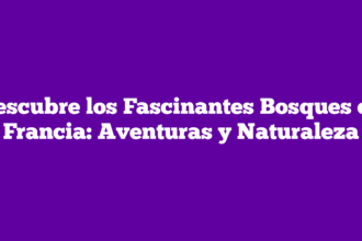 Descubre los Fascinantes Bosques en Francia: Aventuras y Naturaleza