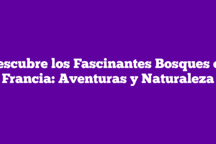 Descubre los Fascinantes Bosques en Francia: Aventuras y Naturaleza