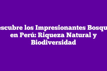 Descubre los Impresionantes Bosques en Perú: Riqueza Natural y Biodiversidad