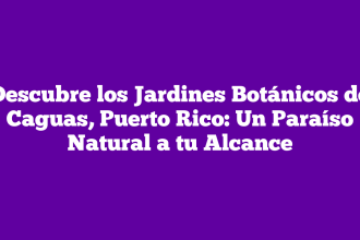 Descubre los Jardines Botánicos de Caguas, Puerto Rico: Un Paraíso Natural a tu Alcance