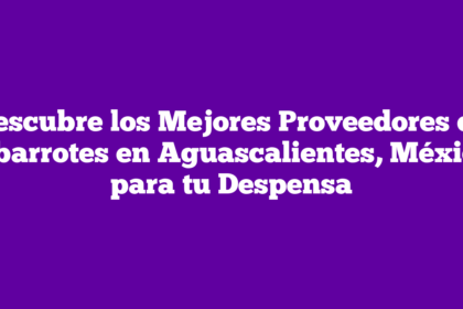 Descubre los Mejores Proveedores de Abarrotes en Aguascalientes, México para tu Despensa