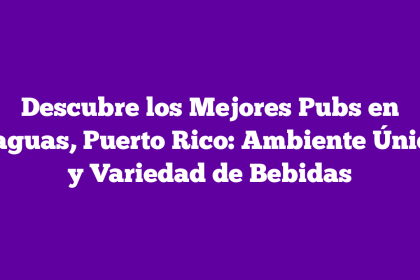 Descubre los Mejores Pubs en Caguas, Puerto Rico: Ambiente Único y Variedad de Bebidas
