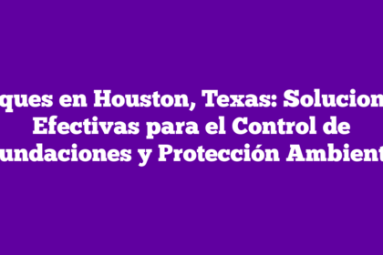 Diques en Houston, Texas: Soluciones Efectivas para el Control de Inundaciones y Protección Ambiental