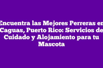 Encuentra las Mejores Perreras en Caguas, Puerto Rico: Servicios de Cuidado y Alojamiento para tu Mascota