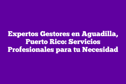 Expertos Gestores en Aguadilla, Puerto Rico: Servicios Profesionales para tu Necesidad