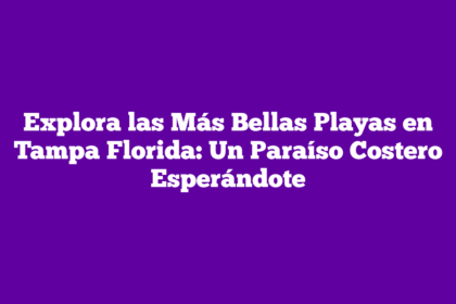 Explora las Más Bellas Playas en Tampa Florida: Un Paraíso Costero Esperándote