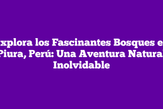 Explora los Fascinantes Bosques en Piura, Perú: Una Aventura Natural Inolvidable