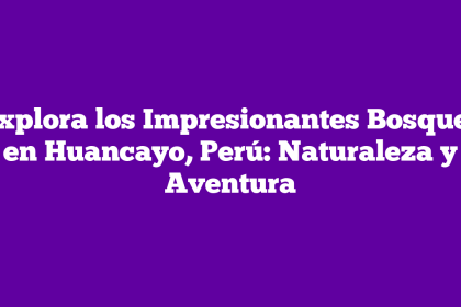 Explora los Impresionantes Bosques en Huancayo, Perú: Naturaleza y Aventura