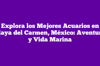 Explora los Mejores Acuarios en Playa del Carmen, México: Aventura y Vida Marina