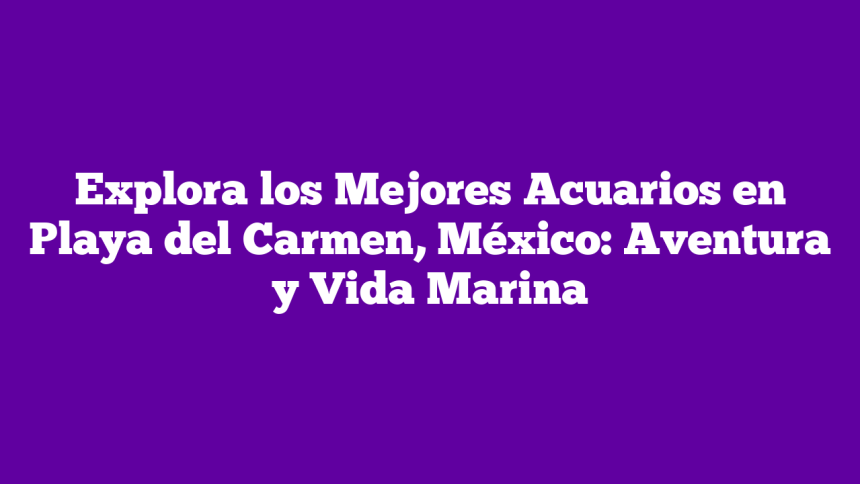 Imagen de Explora los Mejores Acuarios en Playa del Carmen, México: Aventura y Vida Marina Explora los Mejores Acuarios en Playa del Carmen, México: Aventura y Vida Marina
