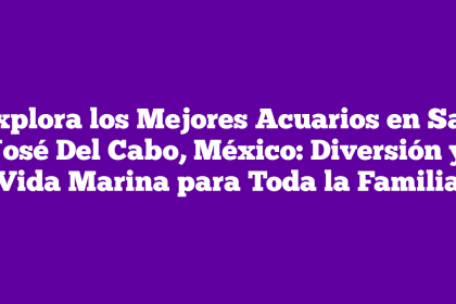 Explora los Mejores Acuarios en San José Del Cabo, México: Diversión y Vida Marina para Toda la Familia