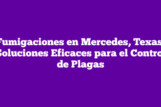 Fumigaciones en Mercedes, Texas: Soluciones Eficaces para el Control de Plagas