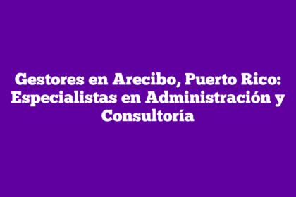 Gestores en Arecibo, Puerto Rico: Especialistas en Administración y Consultoría