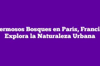 Hermosos Bosques en París, Francia: Explora la Naturaleza Urbana