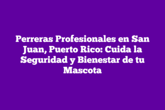 Perreras Profesionales en San Juan, Puerto Rico: Cuida la Seguridad y Bienestar de tu Mascota
