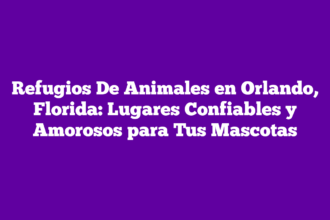 Refugios De Animales en Orlando, Florida: Lugares Confiables y Amorosos para Tus Mascotas
