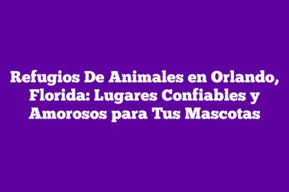 Refugios De Animales en Orlando, Florida: Lugares Confiables y Amorosos para Tus Mascotas