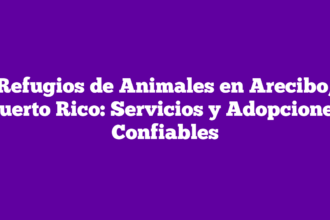 Refugios de Animales en Arecibo, Puerto Rico: Servicios y Adopciones Confiables