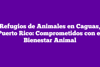 Refugios de Animales en Caguas, Puerto Rico: Comprometidos con el Bienestar Animal