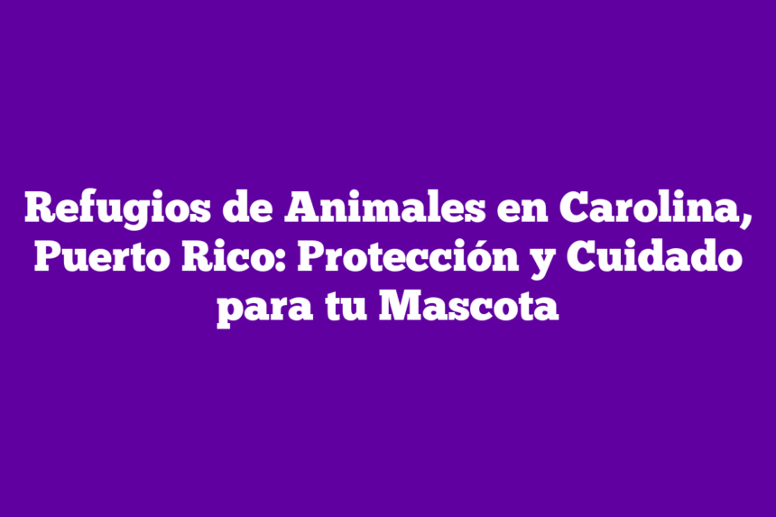 Imagen de Refugios de Animales en Carolina, Puerto Rico: Protección y Cuidado para tu Mascota Refugios de Animales en Carolina, Puerto Rico: Protección y Cuidado para tu Mascota