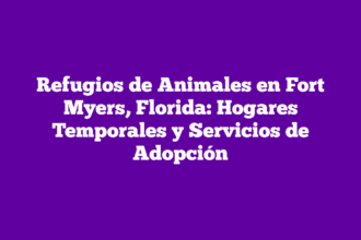 Refugios de Animales en Fort Myers, Florida: Hogares Temporales y Servicios de Adopción