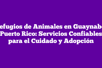 Refugios de Animales en Guaynabo, Puerto Rico: Servicios Confiables para el Cuidado y Adopción