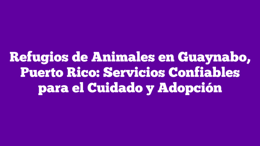 Refugios de Animales en Guaynabo, Puerto Rico: Servicios Confiables para el Cuidado y Adopción