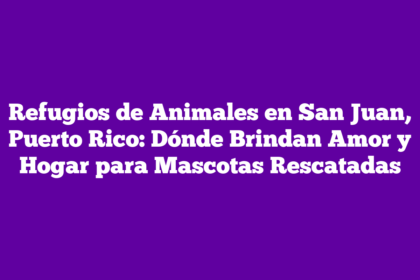Refugios de Animales en San Juan, Puerto Rico: Dónde Brindan Amor y Hogar para Mascotas Rescatadas