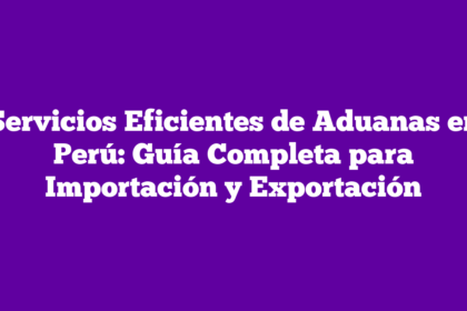 Servicios Eficientes de Aduanas en Perú: Guía Completa para Importación y Exportación