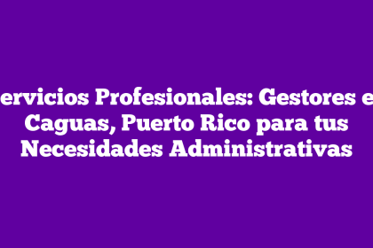 Servicios Profesionales: Gestores en Caguas, Puerto Rico para tus Necesidades Administrativas