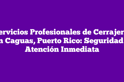 Servicios Profesionales de Cerrajería en Caguas, Puerto Rico: Seguridad y Atención Inmediata
