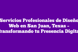 Servicios Profesionales de Diseño Web en San Juan, Texas – Transformando tu Presencia Digital